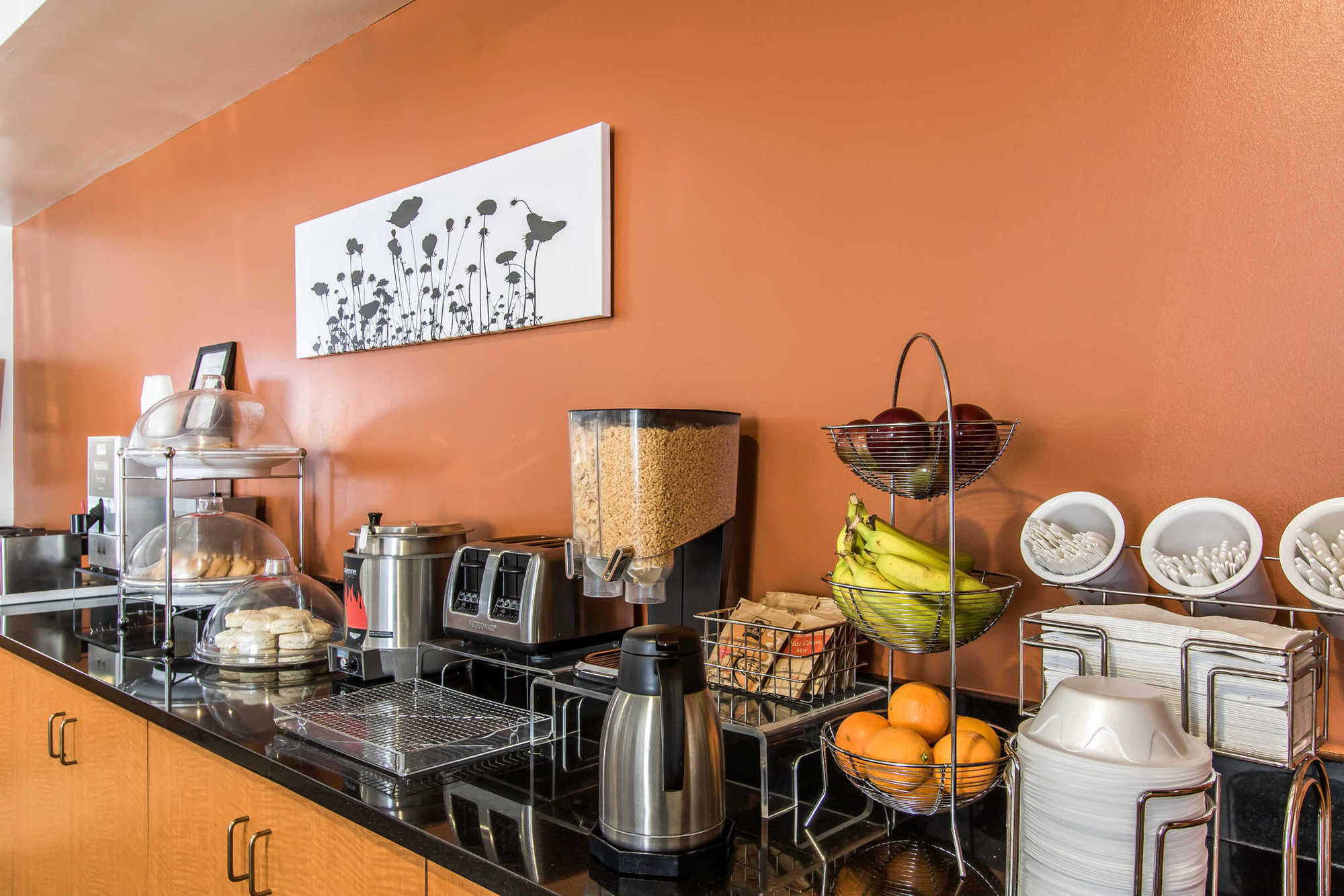 Sleep Inn & Suites Lebanon - Nashville Area Servizi foto